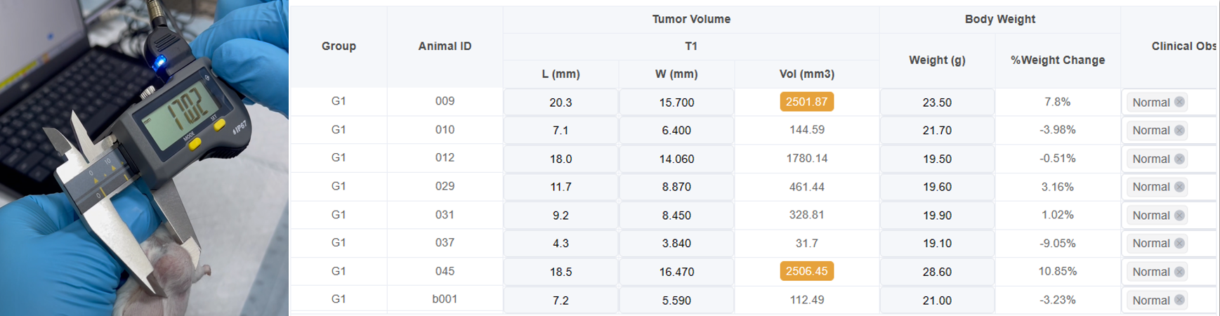 1765526014969789.png 71d01f25-949d-4556-afd4-6e6895865691.png